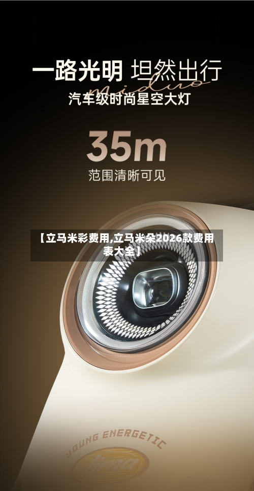 【立马米彩费用,立马米朵2026款费用表大全】-第2张图片