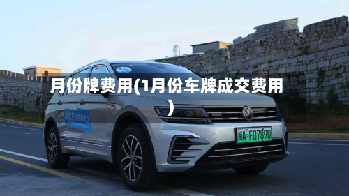月份牌费用(1月份车牌成交费用)-第2张图片