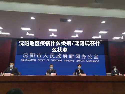 沈阳地区疫情什么级别/沈阳现在什么状态-第3张图片