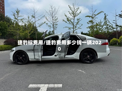 捷豹标费用/捷豹费用多少钱一辆2020-第2张图片