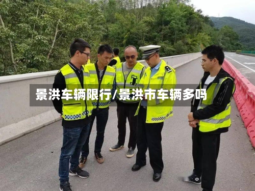 景洪车辆限行/景洪市车辆多吗