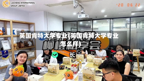 英国肯特大学专业(英国肯特大学专业怎么样)-第2张图片