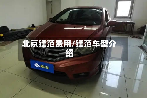 北京锋范费用/锋范车型介绍-第2张图片