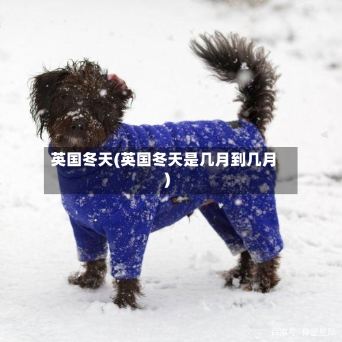 英国冬天(英国冬天是几月到几月)