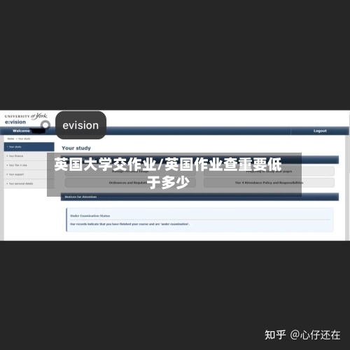 英国大学交作业/英国作业查重要低于多少-第2张图片