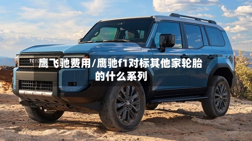 鹰飞驰费用/鹰驰f1对标其他家轮胎的什么系列-第3张图片