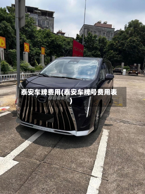 泰安车牌费用(泰安车牌号费用表)-第2张图片