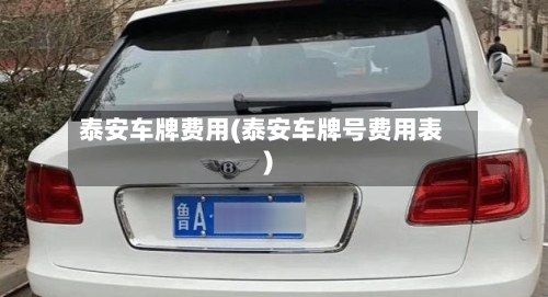 泰安车牌费用(泰安车牌号费用表)