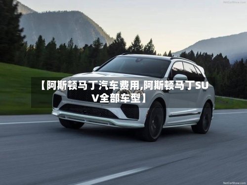 【阿斯顿马丁汽车费用,阿斯顿马丁SUV全部车型】-第2张图片