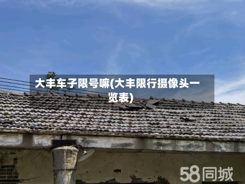 大丰车子限号嘛(大丰限行摄像头一览表)