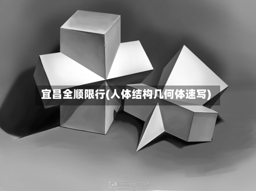 宜昌全顺限行(人体结构几何体速写)