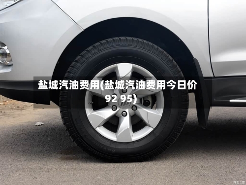 盐城汽油费用(盐城汽油费用今日价92 95)-第3张图片