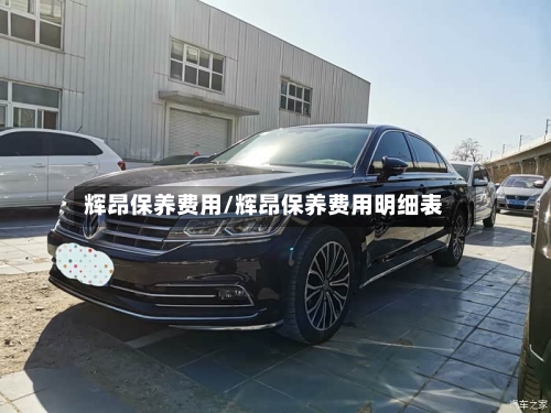 辉昂保养费用/辉昂保养费用明细表-第2张图片