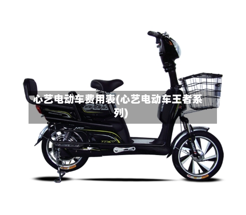 心艺电动车费用表(心艺电动车王者系列)