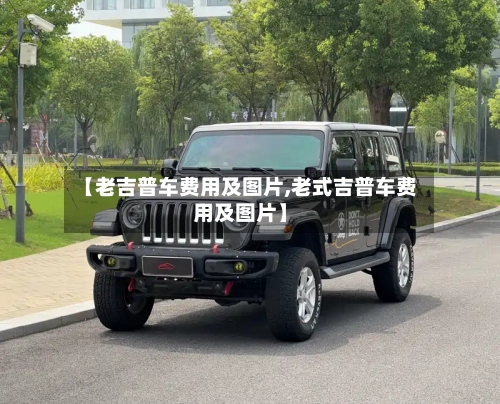 【老吉普车费用及图片,老式吉普车费用及图片】-第3张图片