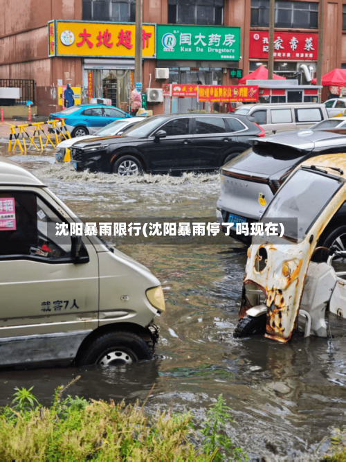 沈阳暴雨限行(沈阳暴雨停了吗现在)-第3张图片