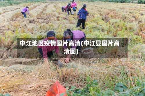 中江地区疫情图片高清(中江县图片高清图)