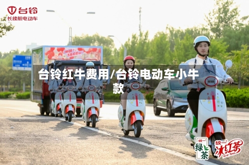 台铃红牛费用/台铃电动车小牛款-第3张图片