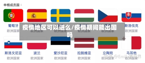 疫情地区可以进么/疫情期间能出国吗-第2张图片