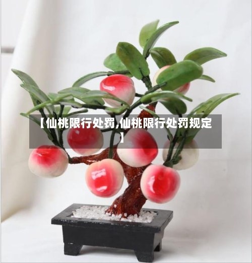 【仙桃限行处罚,仙桃限行处罚规定】