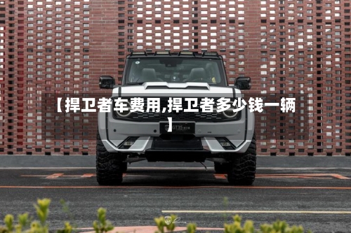 【捍卫者车费用,捍卫者多少钱一辆】-第3张图片