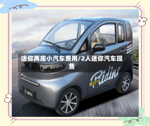 迷你两座小汽车费用/2人迷你汽车现售
