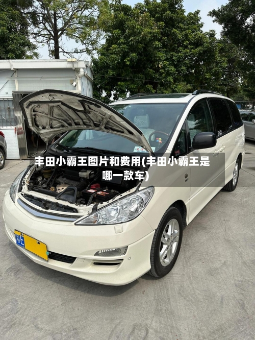 丰田小霸王图片和费用(丰田小霸王是哪一款车)-第2张图片