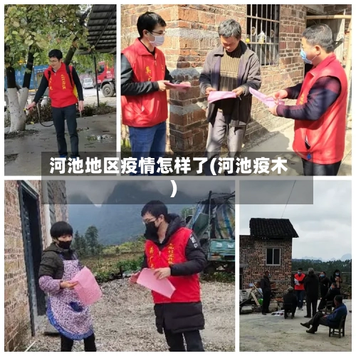 河池地区疫情怎样了(河池疫木)