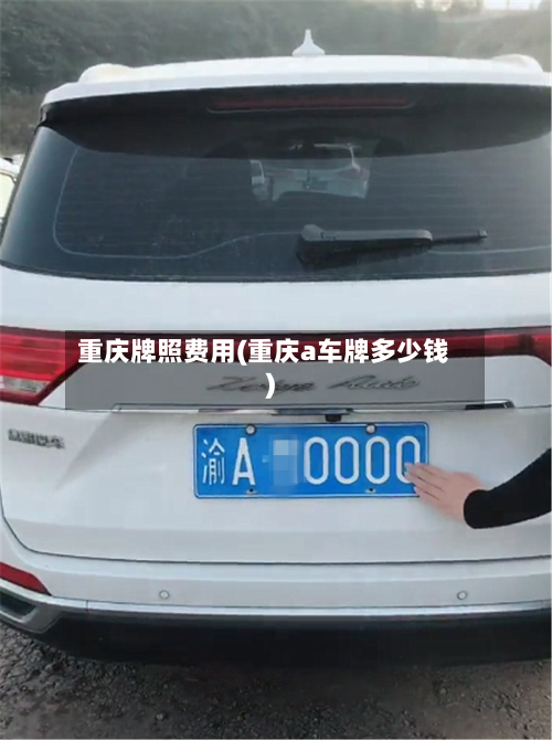 重庆牌照费用(重庆a车牌多少钱)