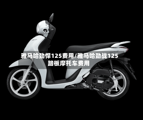 雅马哈劲悍125费用/雅马哈劲战125踏板摩托车费用-第2张图片