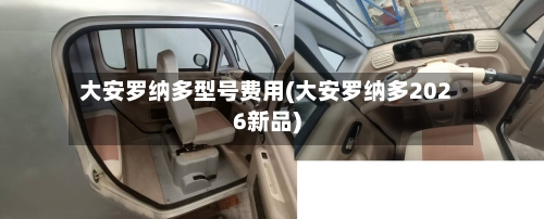 大安罗纳多型号费用(大安罗纳多2026新品)-第2张图片