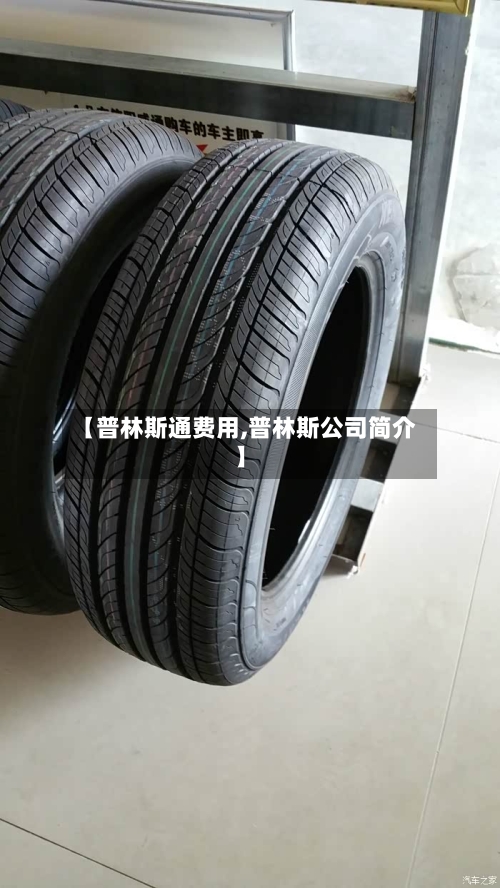 【普林斯通费用,普林斯公司简介】-第2张图片