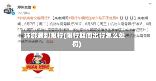 环游遇到限行(限行期间出行怎么处罚)-第2张图片