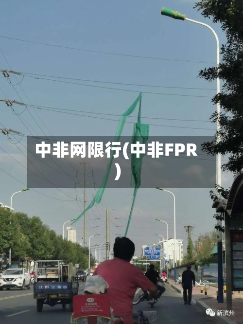 中非网限行(中非FPR)-第2张图片