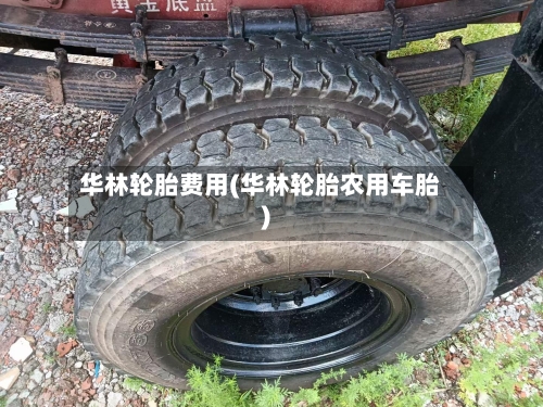 华林轮胎费用(华林轮胎农用车胎)