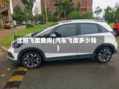 沈阳飞度费用(汽车飞度多少钱)-第2张图片