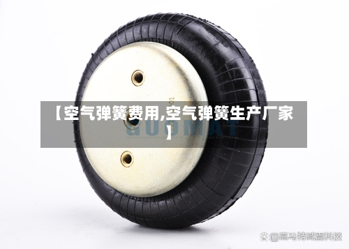 【空气弹簧费用,空气弹簧生产厂家】-第2张图片