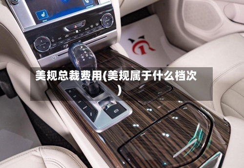 美规总裁费用(美规属于什么档次)