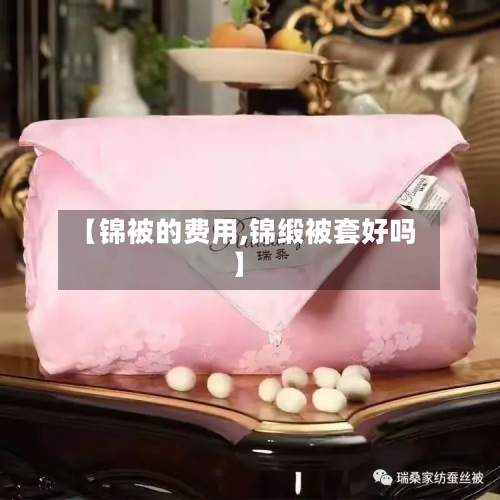【锦被的费用,锦缎被套好吗】-第3张图片