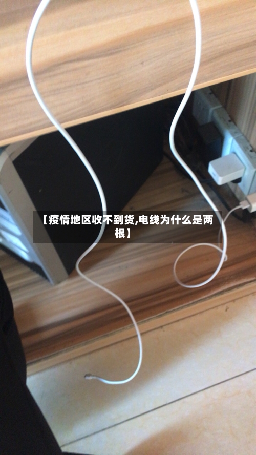 【疫情地区收不到货,电线为什么是两根】-第2张图片