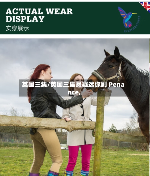 英国三集/英国三集悬疑迷你剧 Penance,-第2张图片