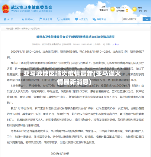 亚马逊地区肺炎疫情最新(亚马逊火情最新消息)-第2张图片