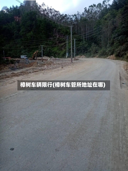 樟树车辆限行(樟树车管所地址在哪)-第2张图片