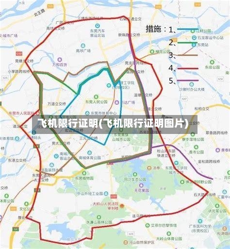 飞机限行证明(飞机限行证明图片)-第2张图片