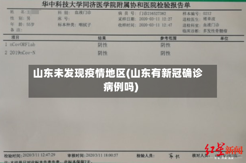 山东未发现疫情地区(山东有新冠确诊病例吗)-第2张图片