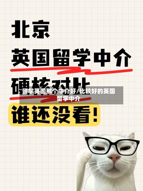 留学英国那个中介好/比较好的英国留学中介-第3张图片