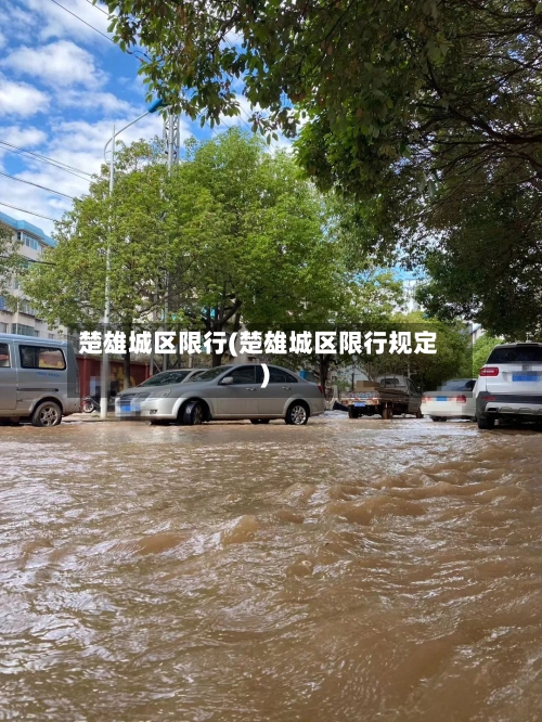 楚雄城区限行(楚雄城区限行规定)-第2张图片