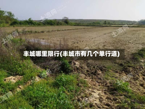 丰城哪里限行(丰城市有几个单行道)