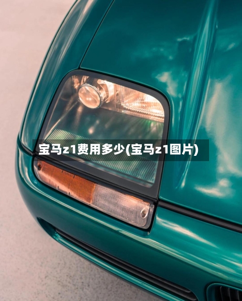 宝马z1费用多少(宝马z1图片)-第3张图片