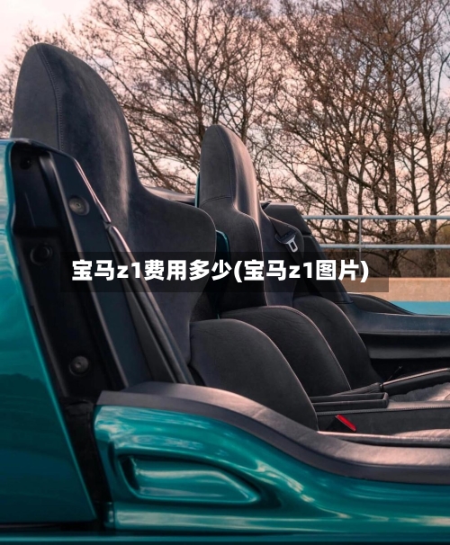 宝马z1费用多少(宝马z1图片)-第2张图片